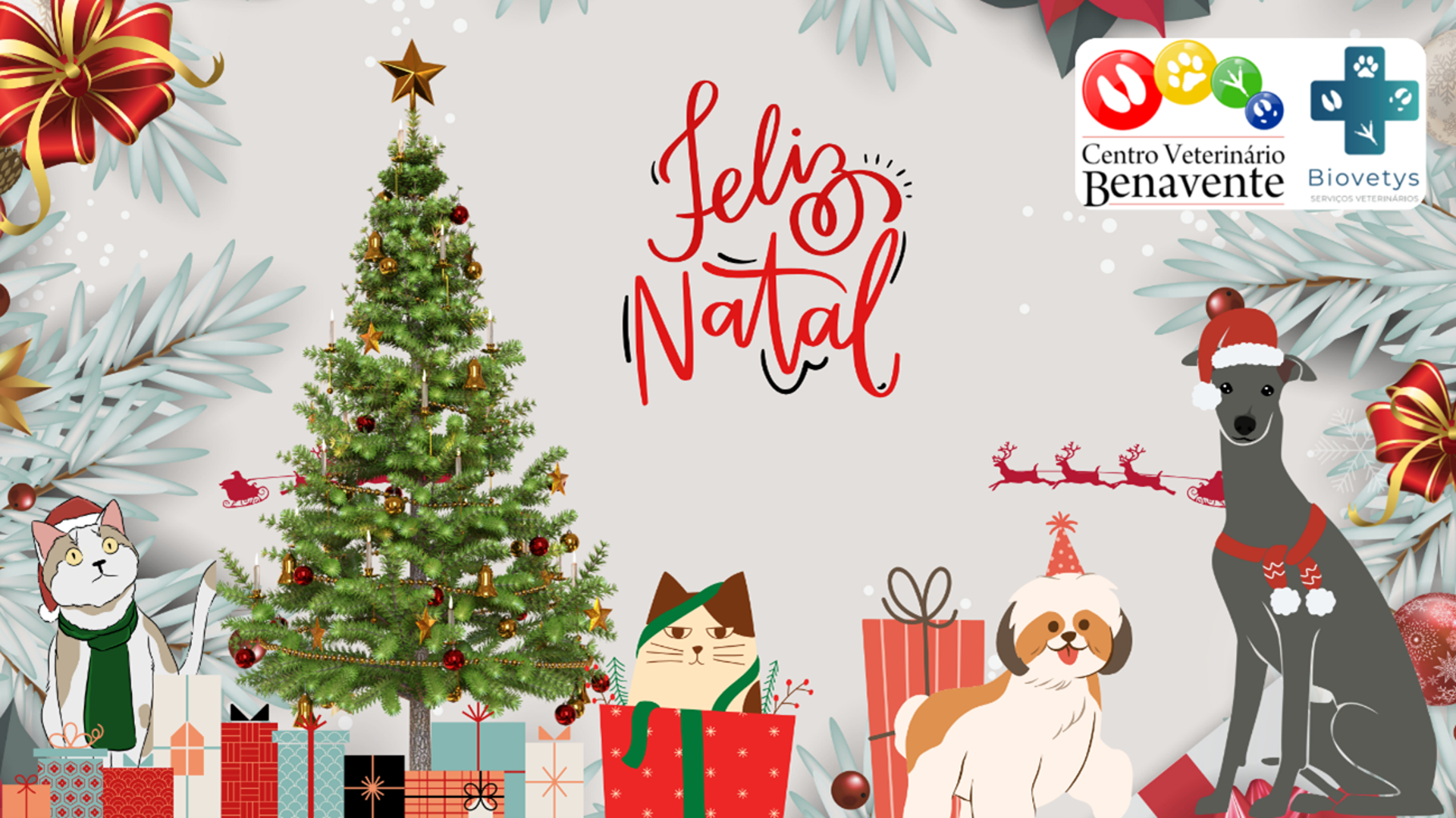 O Caos Natalício dos Patudos: Como Evitar Aventuras (Demasiado) Festivas